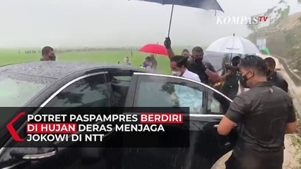 Potret Paspampres di Tengah Hujan Deras Menjaga Jokowi di NTT