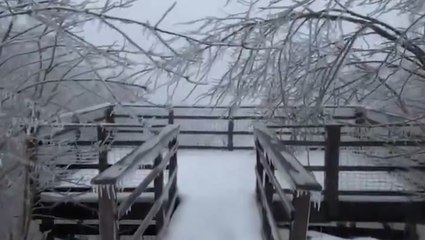 Storm turns mountain top into icy wonderland
