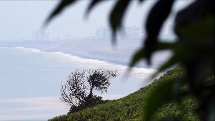 Test 1 Video Camara Reflex Sony Alpha SLT A58.