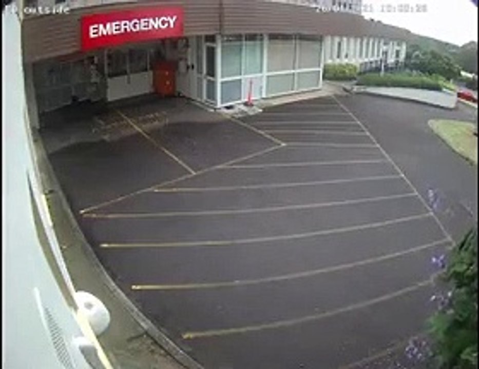 حيوان ولب يقتحم غرفة الطوارئ في مستشفى  بأستراليا