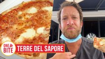 Barstool Pizza Review - Terre Del Sapore (Coral Gables, FL)