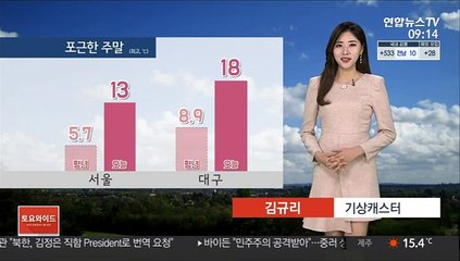 [날씨] 강원산지 대형산불주의보…봄처럼 포근한 주말