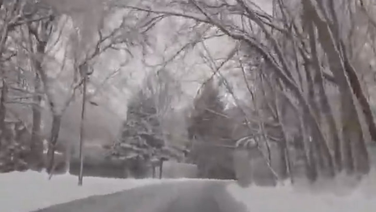 Driving through a winter wonderland