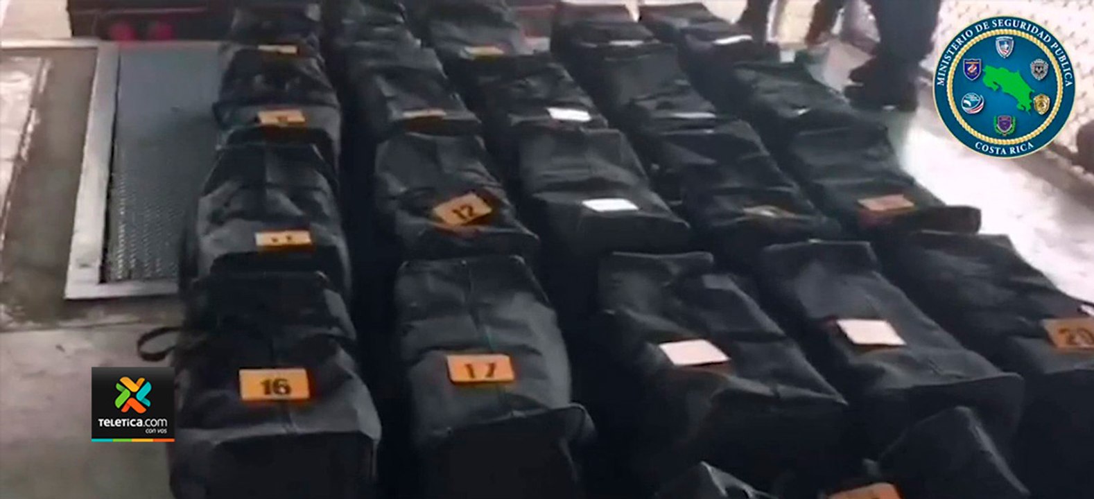 tn7-En-contenedor-con-plátanos-y-'yuquitas'-tr...
