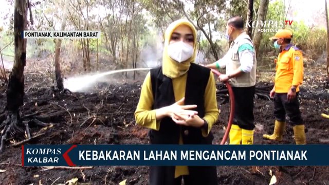 Kebakaran Lahan Melanda Pontianak, Pembakaran Diduga Dilakukan dengan Sengaja