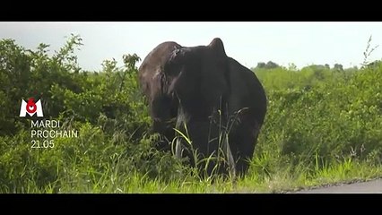 PEKIN EXPRESS 2021 - TEASER 3 M6