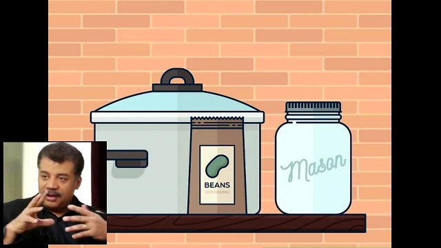 Grow Bean Sprouts Indoors