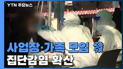 대형 사업장·가족 모임 發 집단감염 확산 / YTN