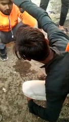 गाय से मोटरसाइकिल टकराई, एक युवक घायल