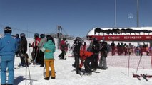KAYSERİ - KIŞ TURİZMİNİN GÖZDE MERKEZLERİ - Erciyes'in pistleri, kayak tutkunlarına adrenalinin zirvesini yaşatıyor