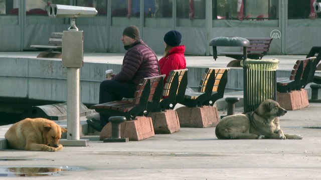 İSTANBUL - Kısıtlama sessizliği - Kadıköy/Üsküdar