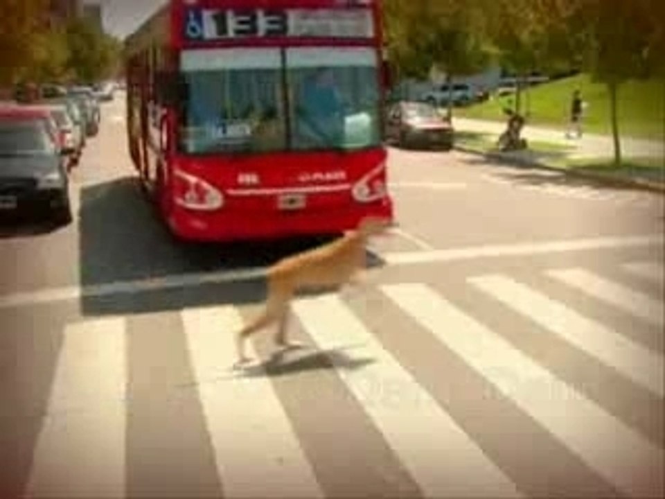 Unrincóndelcorazón