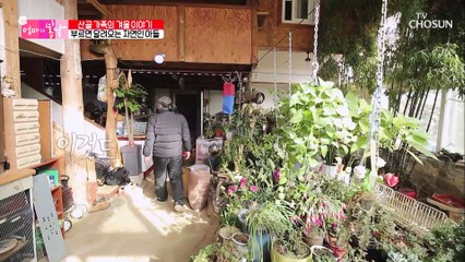엄마의 5분 대기조 부르면 달려오는 자연인 아들 TV CHOSUN 20210221 방송