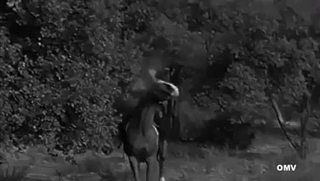 The Life and Legend of Wyatt Earp S01E20 A Wise Calf