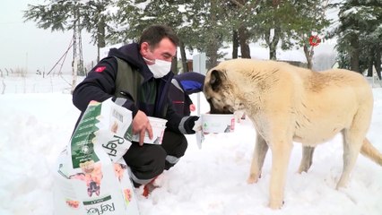 Can dostlar için kış öğünü