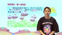 20棉花姑娘|小学语文课文|一年级下