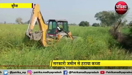 सरसों के खेत को उजाड़कर मुक्त कराई जमीन