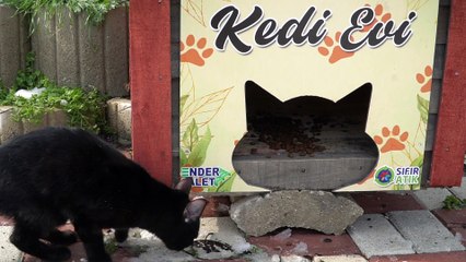 Video herunterladen: Bursa'da nefes kesen kovalamaca