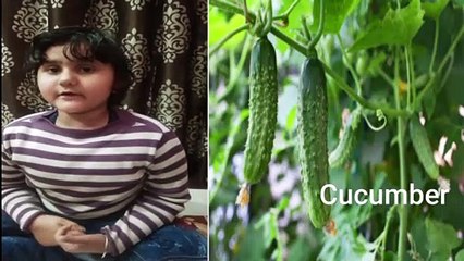 cucumber,ten lines on cucumber,benifits of cucumber,10 lines on cucumber for kids,cucumber vegetable,cucumber juice,cucumber benifit,
