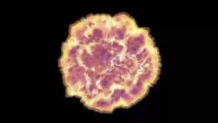 Track Day - Circuit de LURCY LEVY 2021