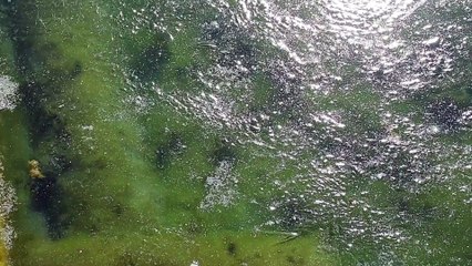 ÇORUM - Millet Bahçesi'ndeki 24 bin metrekarelik göletin yüzeyi buz tuttu