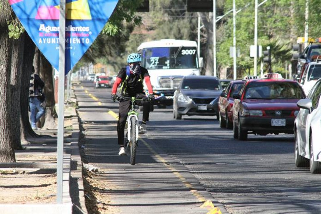 Proyecto de ley en seguridad vial
