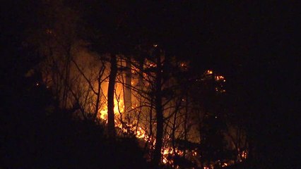 강원 정선 산불로 숲 11만㎡ 소실..."확산 저지에 주력" / YTN