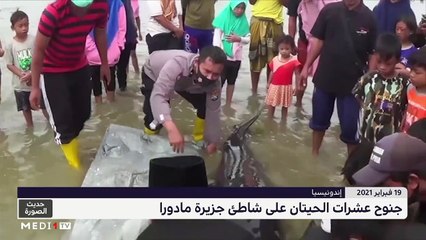 حديث الصورة - 20/02/2021