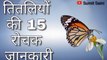 butterfly 15 interesting facts || तितली की 15 रोचक जानकारी || Sumit Saini IQ