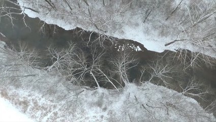 Middle Tennessee transformed