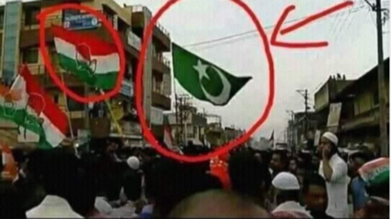 Fact Check Video: No, this green flag in a Congress rally is not a Pakistani flag