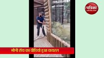 mouni roy pulled the lion with rope video goes viral on social media