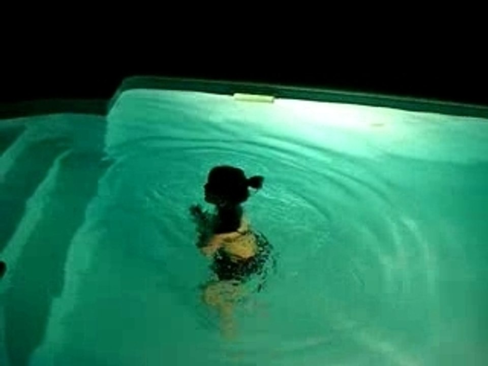 2008_03020018