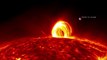 Solar Prominence on Sun Dwarfs The  Earth
