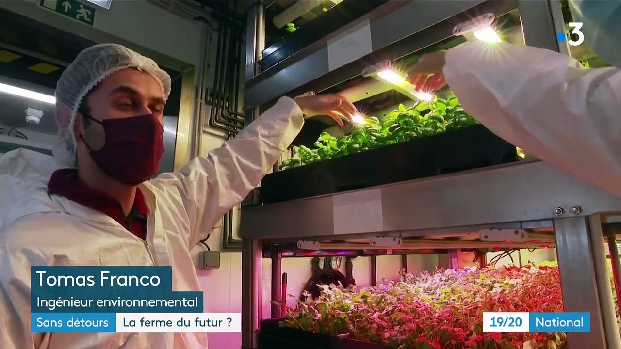 Agriculture : les fermes verticales, fermes du futur ?