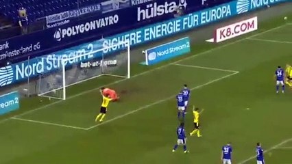 Erling Haaland - Amazing Goal vs Schalke 04