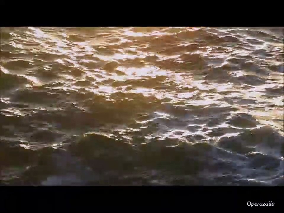 Vieuxtemps: Elégie Op.30 by Lars Anders Tomter & Håvard Gimse 1997