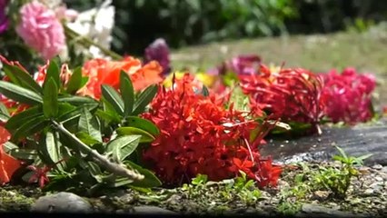 Spiritual Healing And Wreath Laying In Aripo