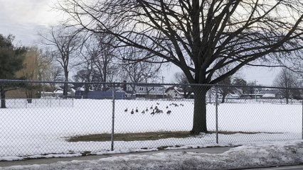 Chack it out ,where the going