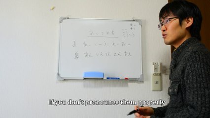 Japanese Vowels Part 2: Koko or kōkō, that's the question.