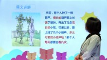 14我要的是葫芦|小学语文课文|二年级上