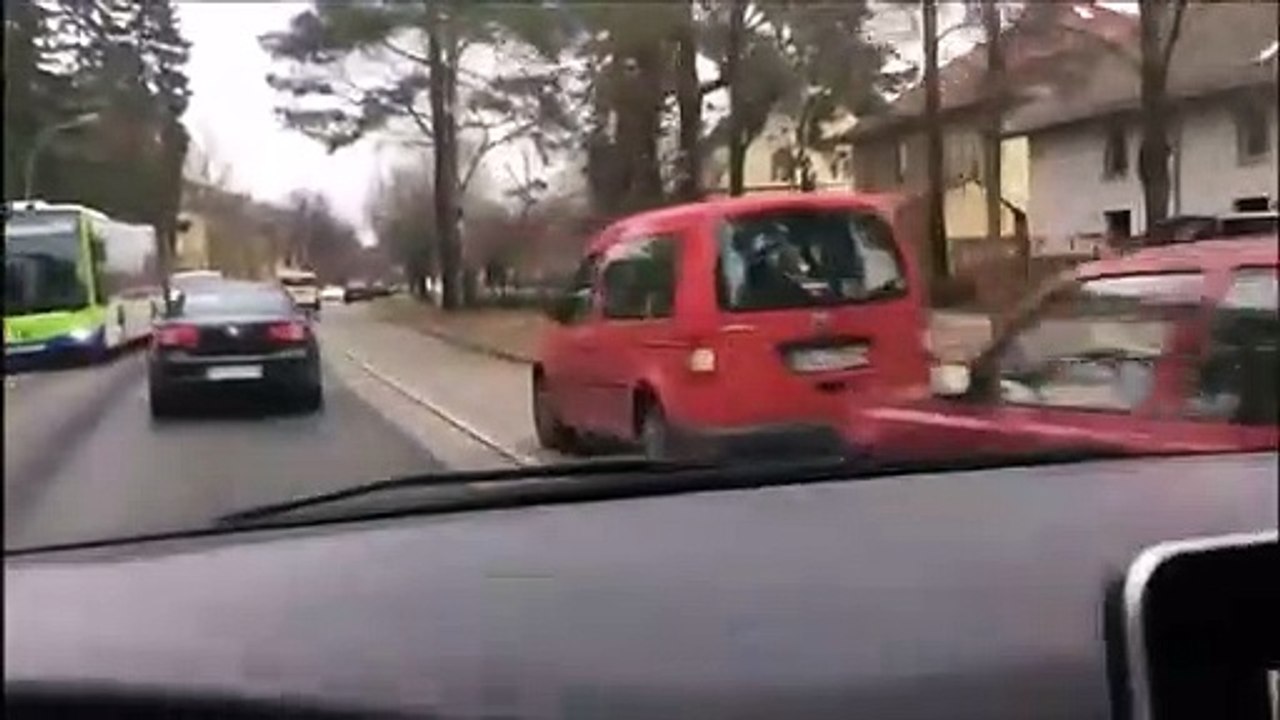 Ce qu'il croise en pleine ville est impressionnant : meute de plus de 20 sangliers