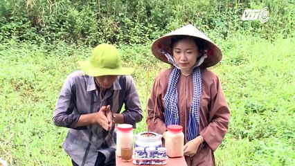 Trải nghiệm cuộc sống hoang dã rừng U Minh Hạ _ VTC_HD