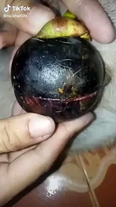 Duniya ka aisa fal jo aapne dekha to hoga par khaya kabhi nahi hoga