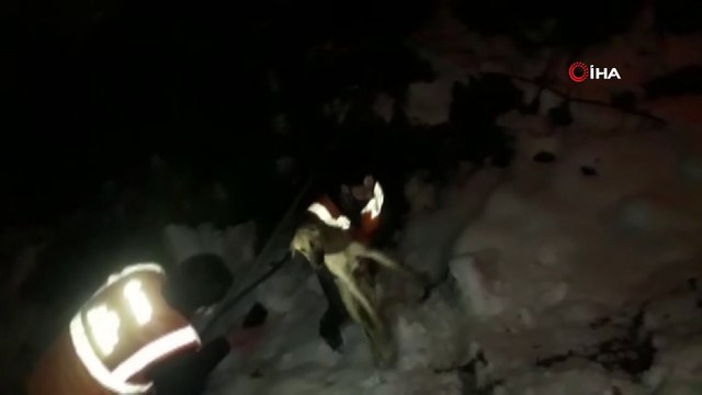 Donmak üzere olan köpek belediye ekiplerince kurtarıldı