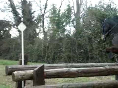 CCE Vedene Dimanche 24 Fevrier 2008