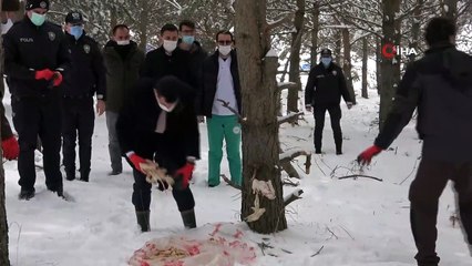 Kaymakam doğaya yem bırakarak, belirli bölgelere fotokapan yerleştirdi