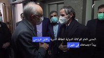 مدير وكالة الطاقة يبدأ اجتماعاته في طهران قبيل انتهاء مهلة رفع العقوبات