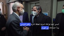 مدير وكالة الطاقة يبدأ اجتماعاته في طهران قبيل انتهاء مهلة رفع العقوبات