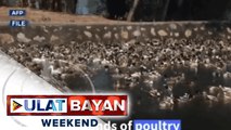 Russia, nakapagtala ng unang kaso ng H5N8 strain ng bird flu sa tao; Australian Prime Minister Morrison, isa sa unang naturukan ng COVID-19 vaccine sa bansa; Labi ng patay na balyena, natagpuan sa Israel